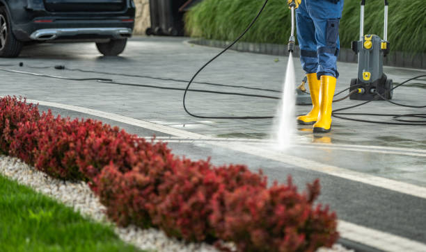 Best Solar Panel Cleaning  in Barclay, NJ